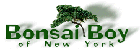 Bonsai Boy of New York Coupon Code, Promo Code